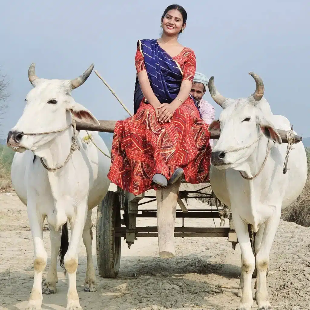 Shivani kumari with bull kart